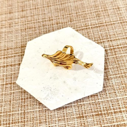 WhatsApp Image 2026-03-27 at 19.20.18 (2) Golden Charm Ring