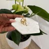 Golden Treasure Ring