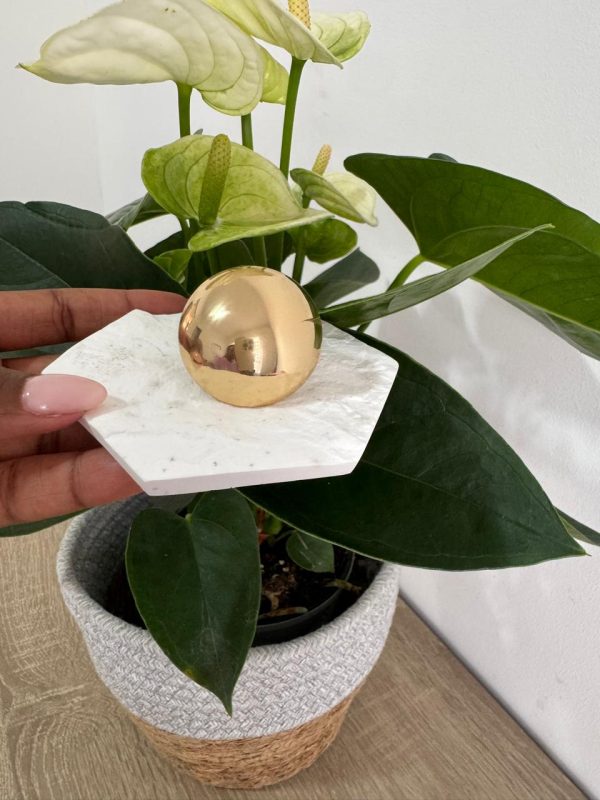 Golden Luxe Ring